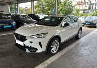 Formentor 2.0 TDI 150 ch DSG7 4Drive
